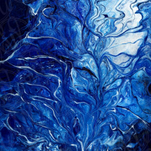 Icy Rose